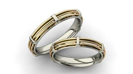 Trauringe / Partnerschaftsringe